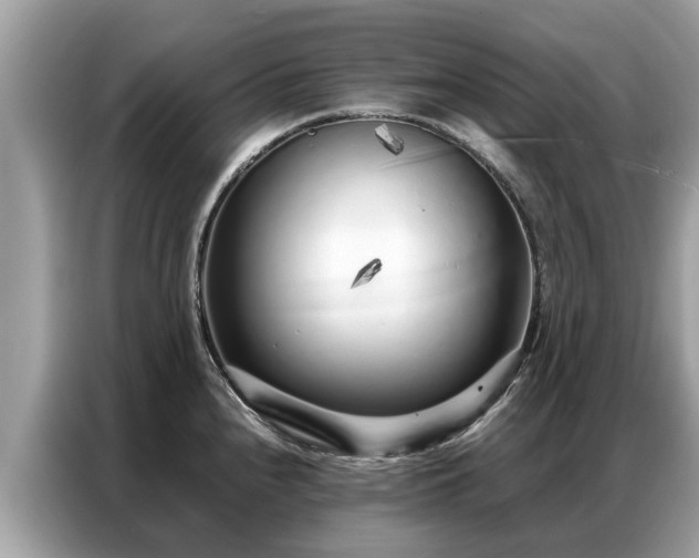 X0000087361240200704271431
