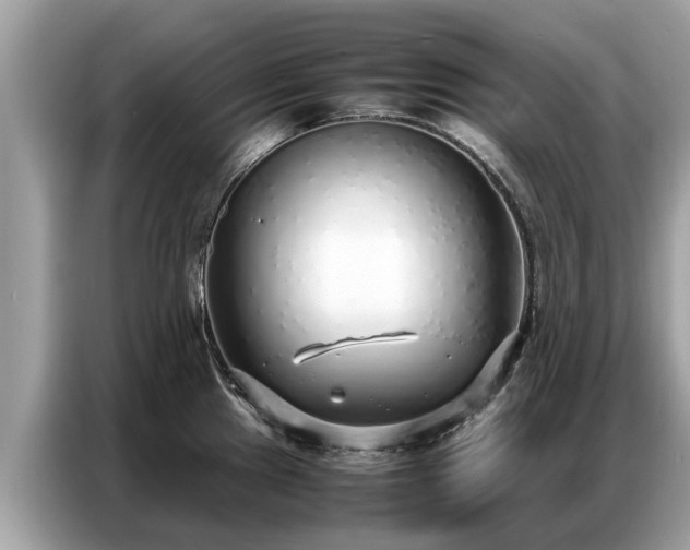 X0000087361241200704271431