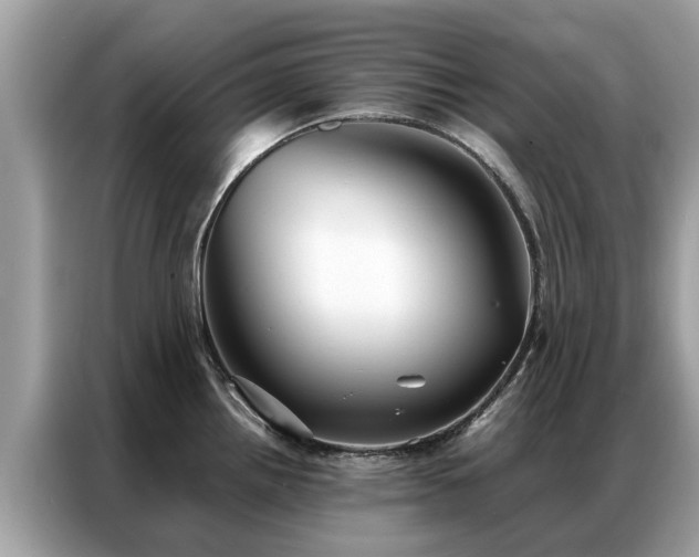 X0000087361242200704271431