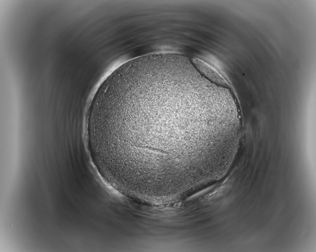 X0000087361243200704271431