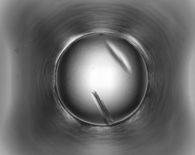 X0000087361244200704271431