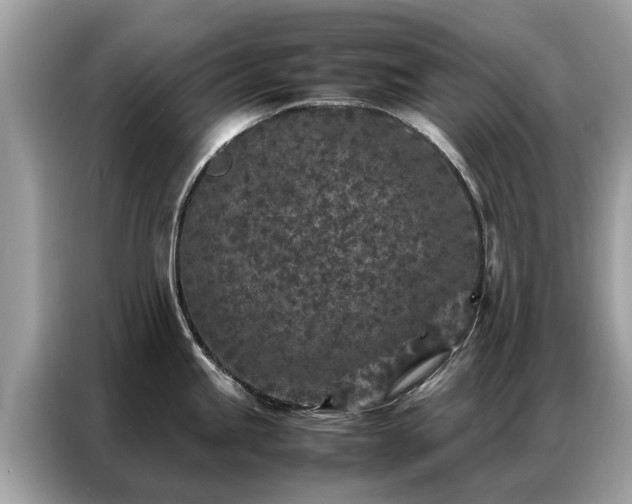 X0000087361245200704271431