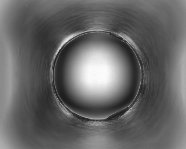 X0000087361246200704271431