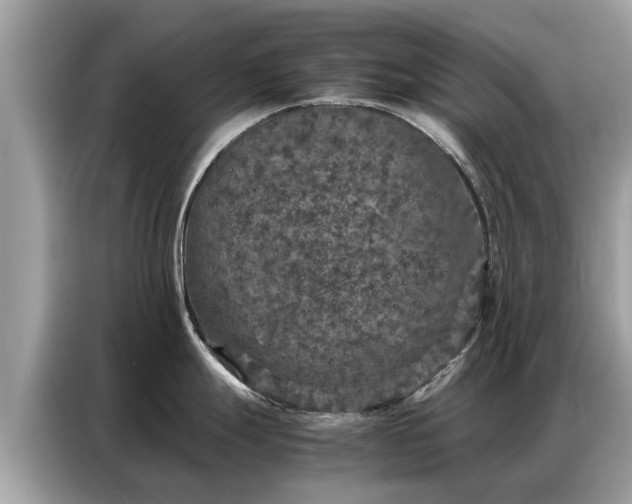 X0000087361247200704271431