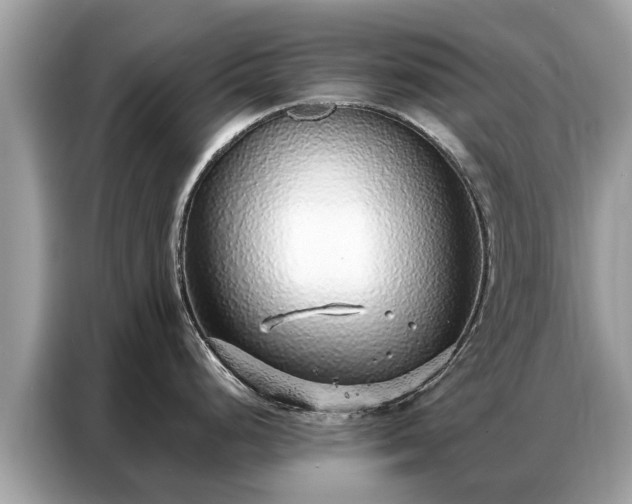 X0000087361248200704271431