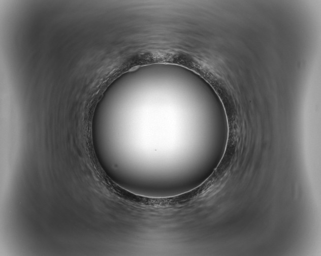X0000087361249200704271431