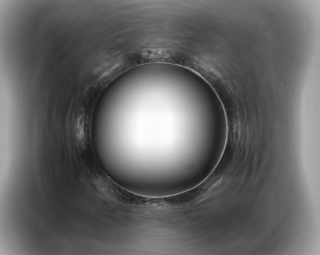 X0000087361250200704271431