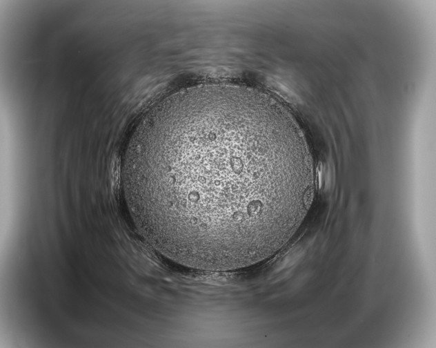 X0000087361251200704271431