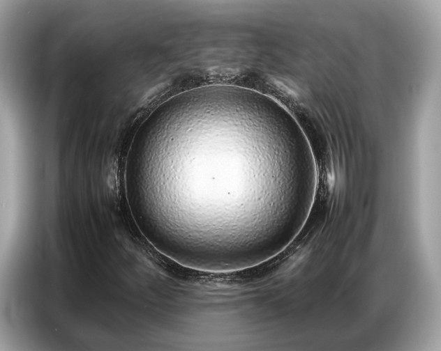 X0000087361252200704271431