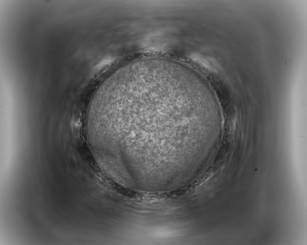 X0000087361254200704271431