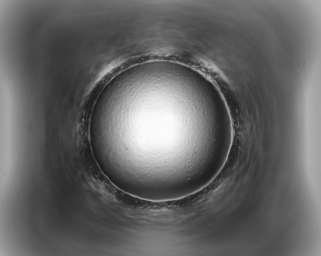 X0000087361256200704271431