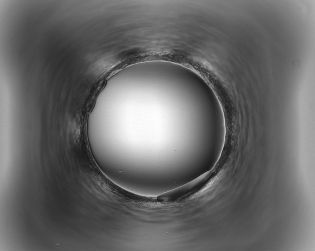 X0000087361257200704271431