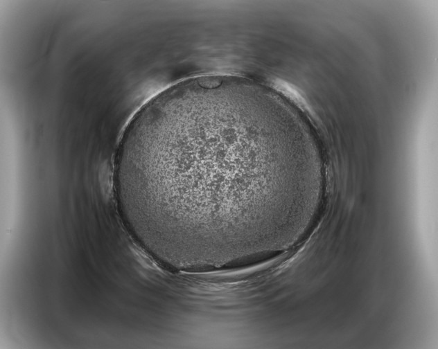 X0000087361260200704271431