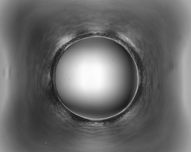 X0000087361261200704271431