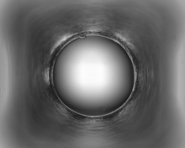 X0000087361262200704271431