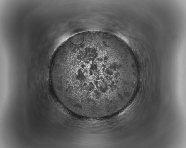 X0000087361263200704271431