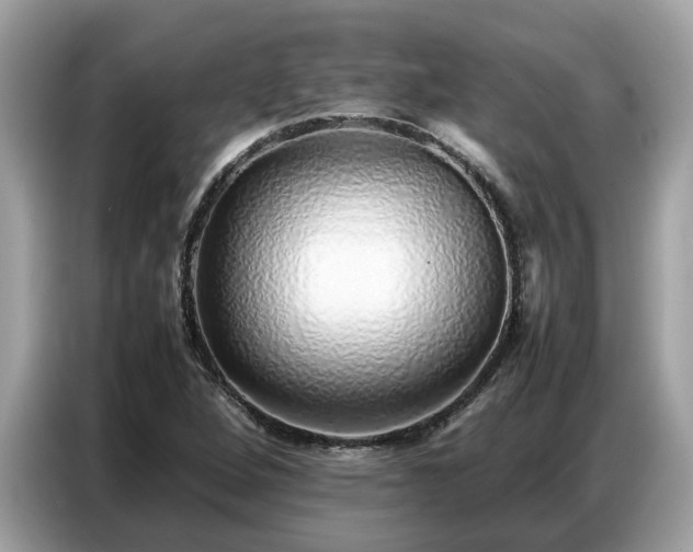 X0000087361264200704271431