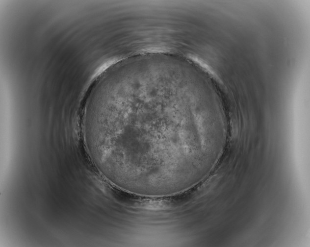 X0000087361266200704271431