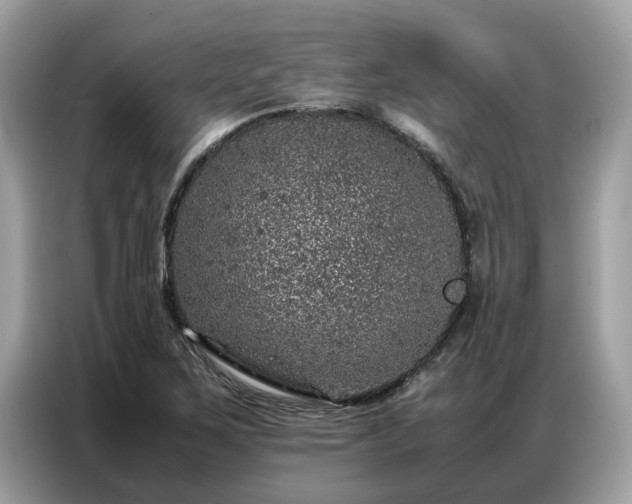 X0000087361267200704271431