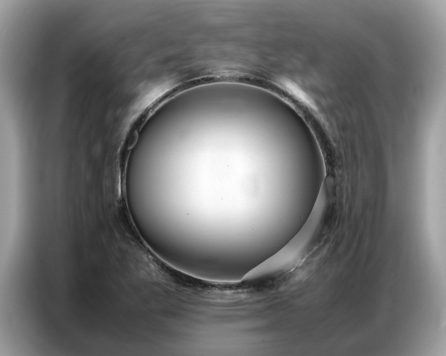 X0000087361269200704271431