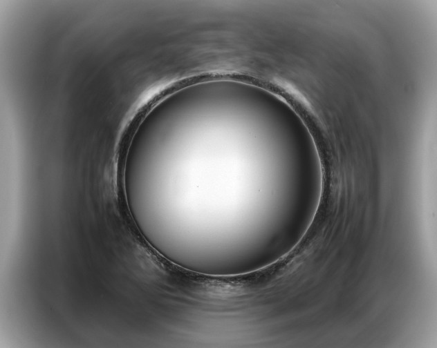 X0000087361270200704271431