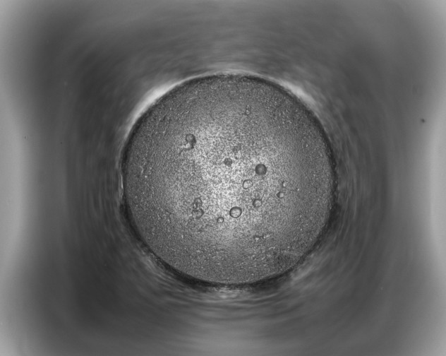 X0000087361271200704271431