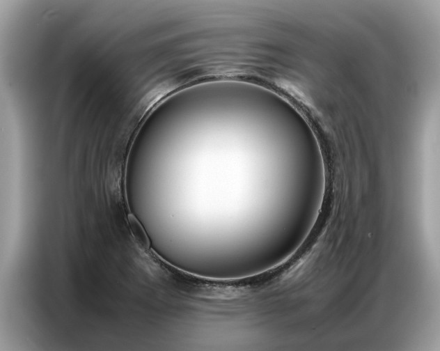 X0000087361273200704271431