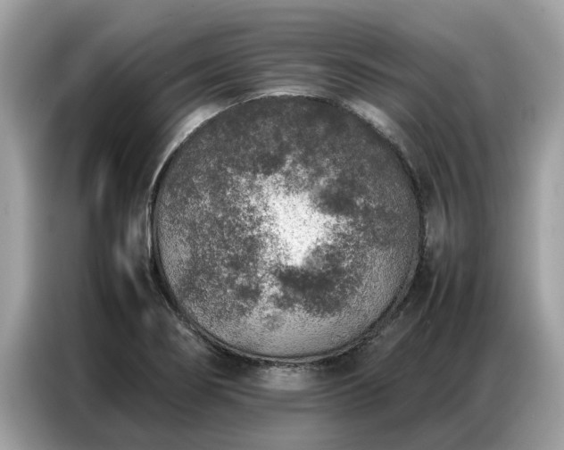 X0000087361274200704271431