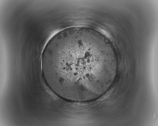 X0000087361275200704271431