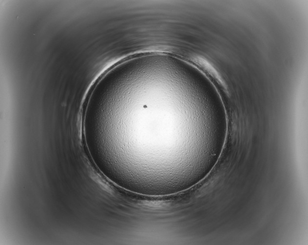 X0000087361276200704271431
