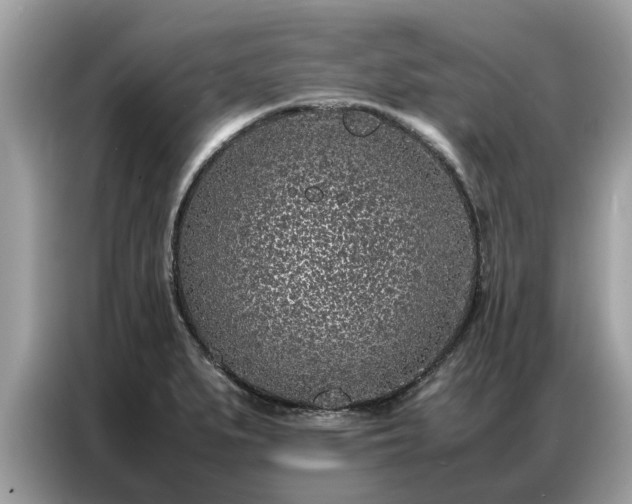 X0000087361279200704271430