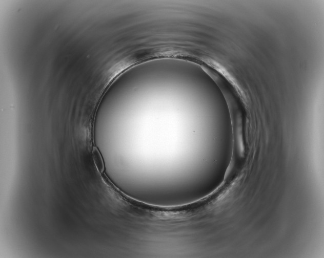 X0000087361281200704271430