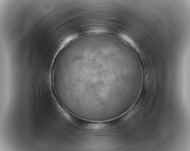 X0000087361282200704271430