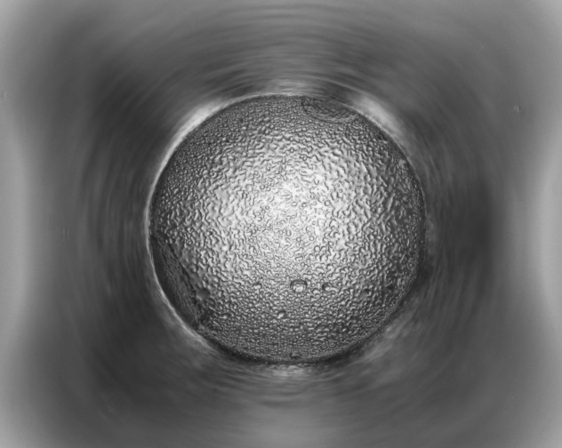 X0000087361283200704271430