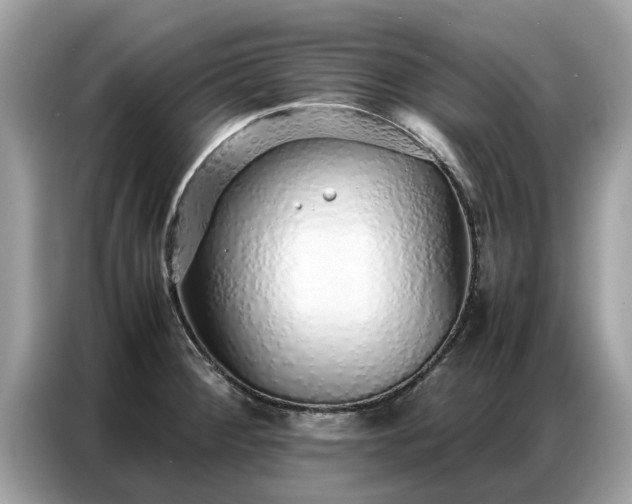 X0000087361284200704271430