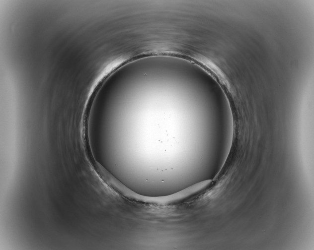 X0000087361285200704271430