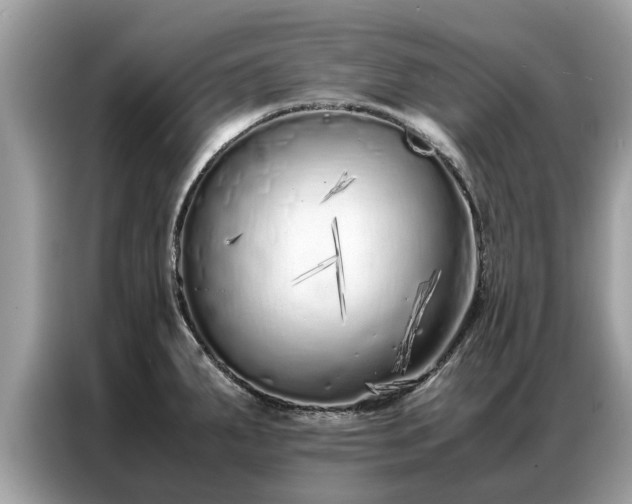 X0000087361287200704271430