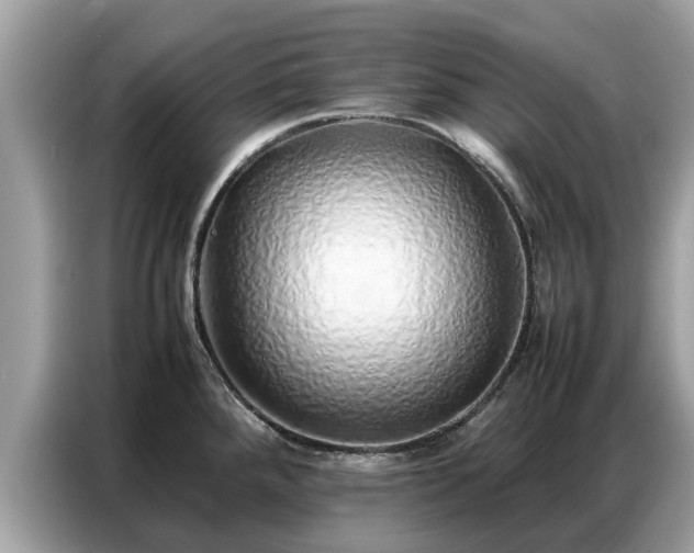X0000087361288200704271430