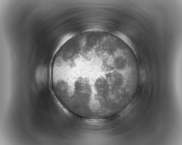 X0000087361290200704271430