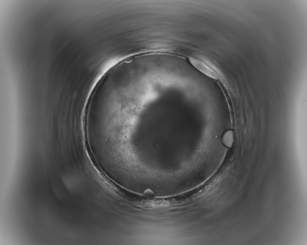 X0000087361291200704271430