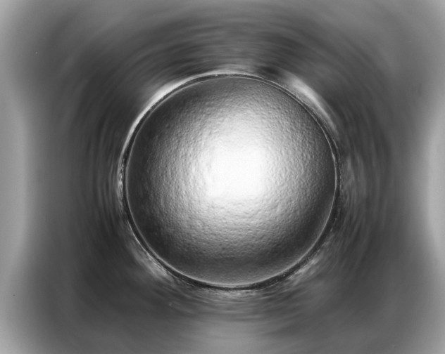 X0000087361292200704271430