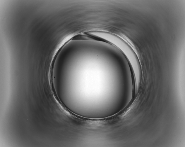 X0000087361293200704271430