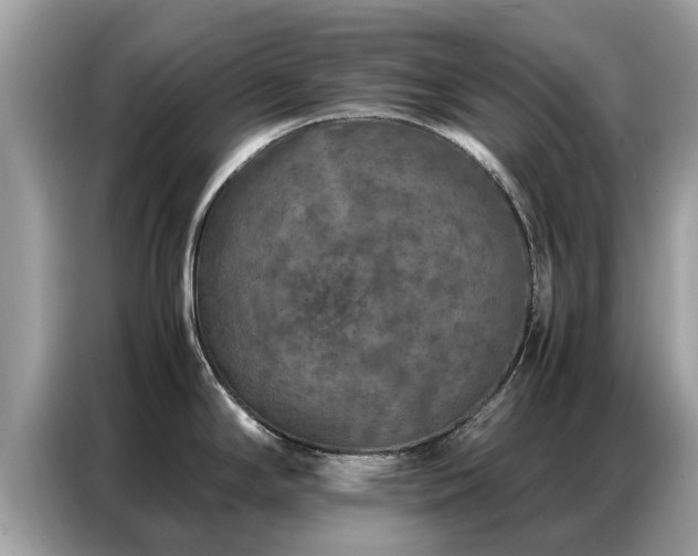 X0000087361294200704271430