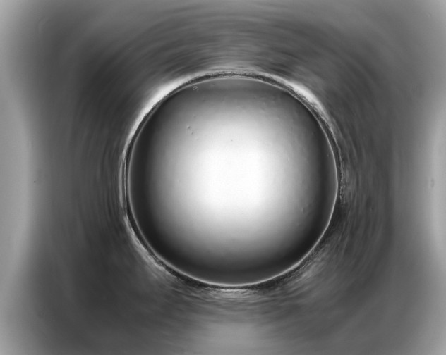 X0000087361295200704271430