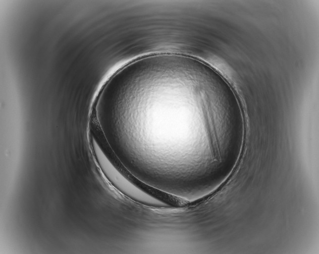 X0000087361296200704271430