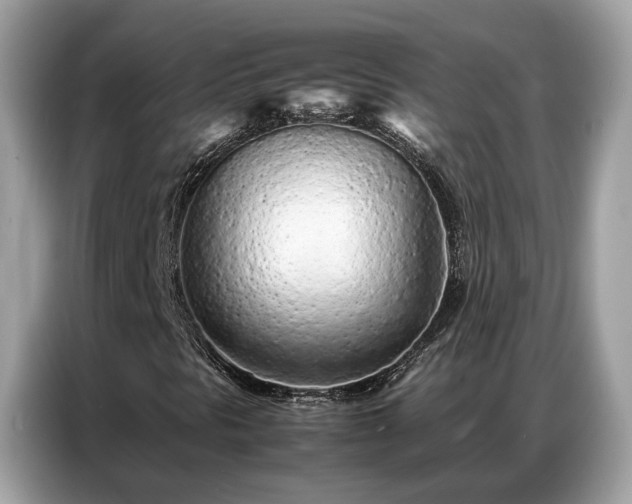 X0000087361297200704271430