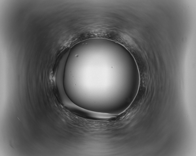 X0000087361298200704271430