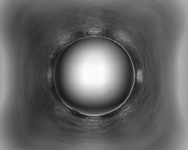 X0000087361299200704271430