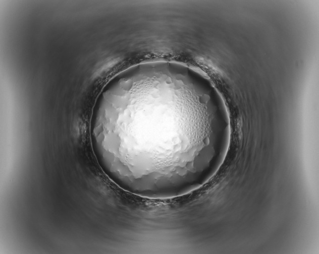 X0000087361302200704271430