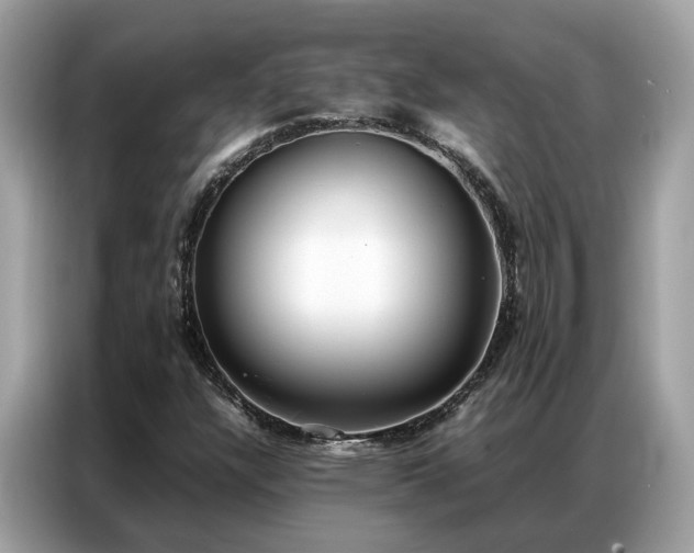X0000087361304200704271430